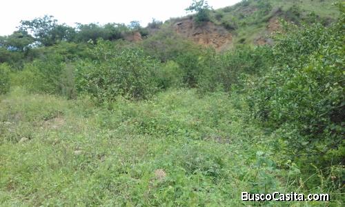 TERRENO RUSTICO CON FRUTALES Y RIEGO DE 4500 M2 -BARRIO SAN BERNABE-PARROQUIA EL TAMBO (CATAMAYO)