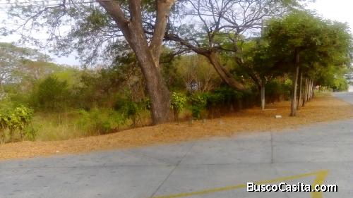 terreno en lago de capeira