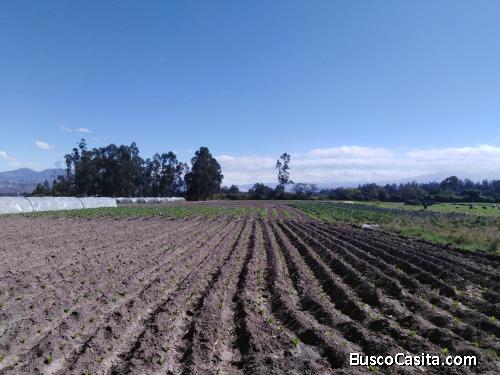 Terreno Plano sector Tababela - Aeropuerto Quito