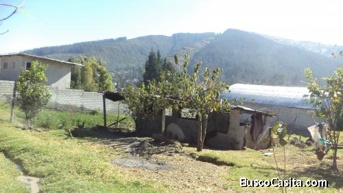 lote de terreno de 500 metros en el Tingo 