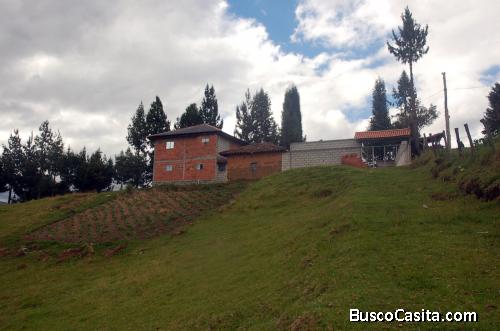 QUINTA GANADERA EN TARQUI