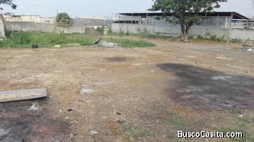 LOS VERGELES 5.700 MT