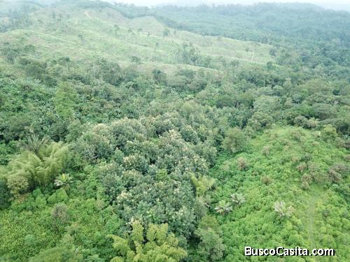 Venta de Finca de 115 hectareas