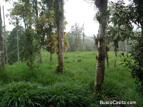 DE VENTA HERMOSA FINCA