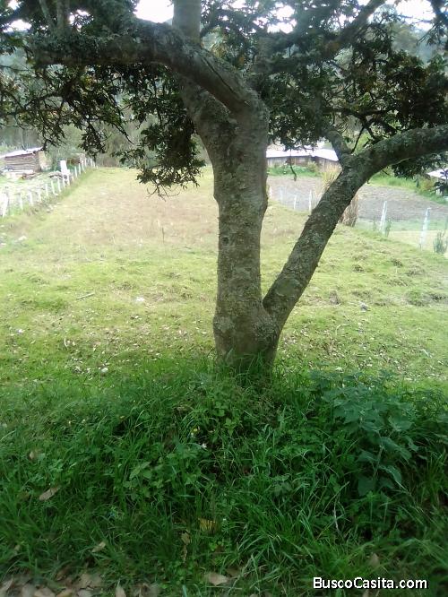 De oportunidad se vende un hermoso terreno apto para construir, barrio seguro libre de contaminación