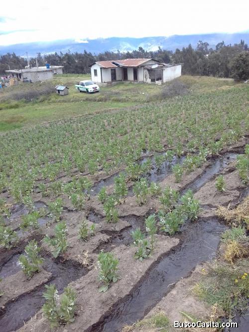 PROPIEDAD EN JUAN BENIGNO VELA