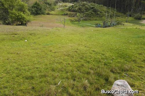 HERMOSO TERRENO EN VENTA SECTOR COCHAS – PACCHA $65.000