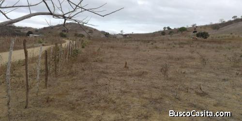 Macro lote en la parroquia Machalilla- Puerto López