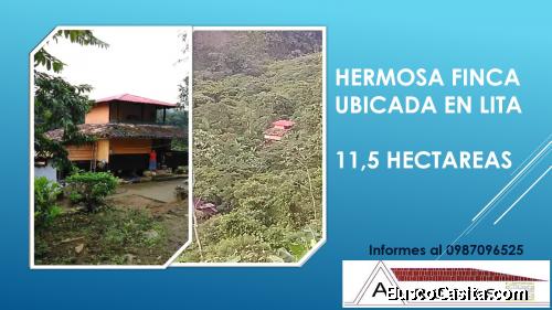HERMOSA FINCA EN LITA DE 11.4 HA