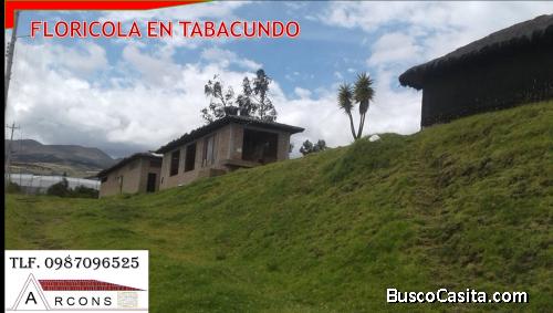 OPORTUNIDAD DE INVERSIÓN FLORÍCOLA EN TABACUND
