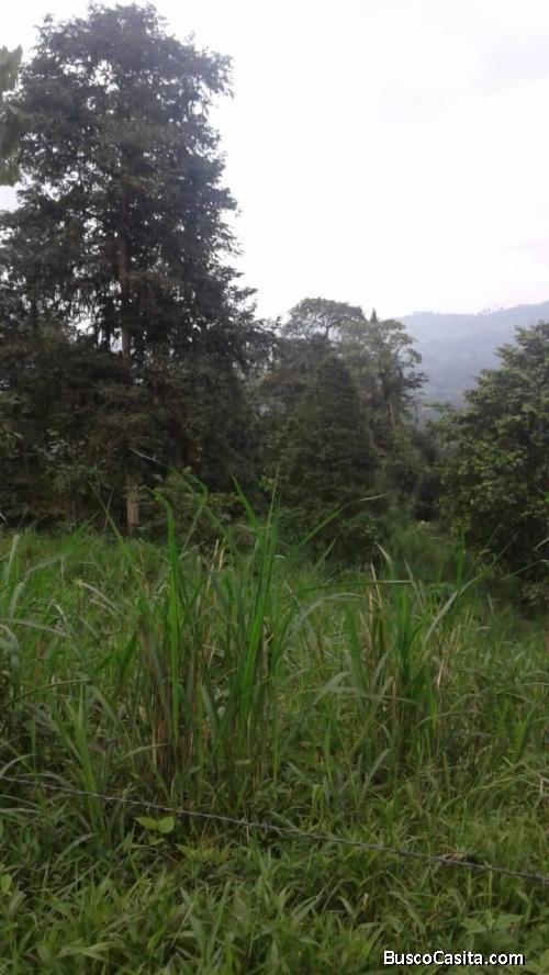 Propiedad apta para ganadería agricultura, tiene agua por diferentes sectores de la finca