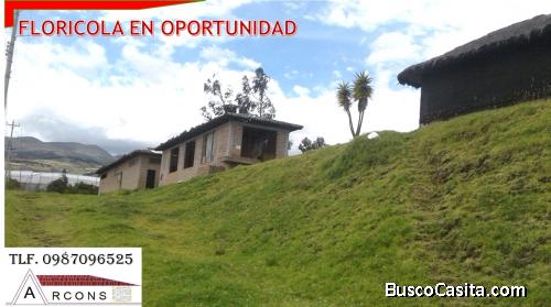 OPORTUNIDAD DE INVERSIÓN FLORÍCOLA EN TABACUND