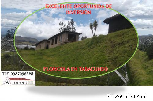 OPORTUNIDAD DE INVERSIÓN FLORÍCOLA EN TABACUND