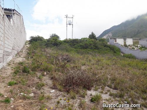 Terreno la marca, mejor zona de la Mitad del Mundo,490m2 de superficie $35.000,verdadera oportunidad