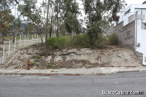 Terreno Urbanizacion La Marca, zona residencial y exclusiva de la Mitad del Mundo, 490m2 $37.000 