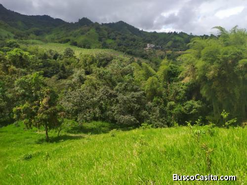 Terreno ubicado en Nanegal(Marianitas) 7 hectáreas, al filo del Río, precio negociable 