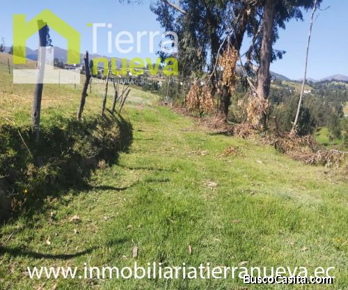 EN VENTA TERRENO AGRICOLA EN  AYORA
