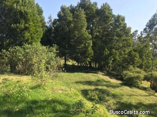 VENTA DE TERRENO 2000mt SECTOR LA MERCED BARRIO SANTA ANA 
