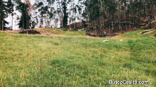 Terrenos en venta Tarqui - Cuenca