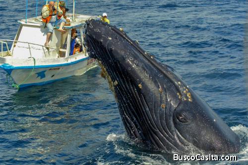 TERRENO EN Ecuador, la mejor playa del país Puerto Lopez Manabi