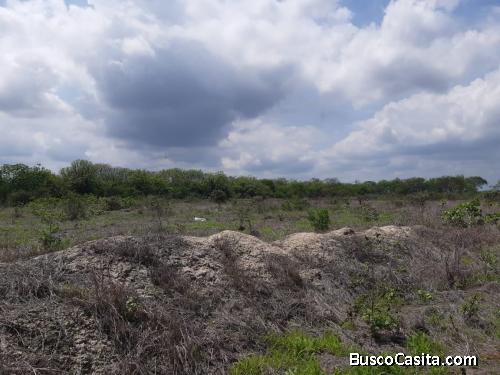 VENTA DE TERRENO EN HUAQUILLAS