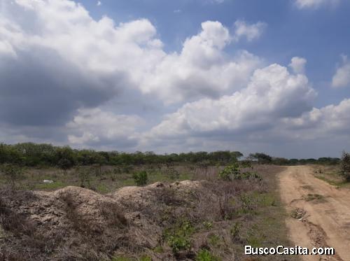 SE VENDE SOLAR EN HUAQUILLAS
