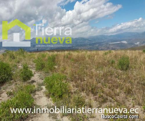 SE VENDEN 3 HECTAREAS EN TOMALÓN - TABACUNDO