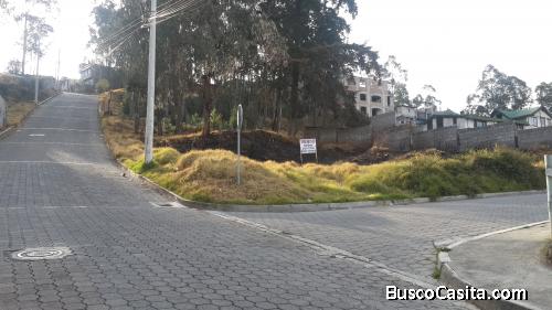 San Isidro del Inca - Terreno esquinero - El Tablón