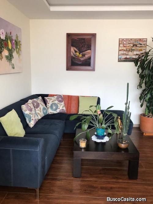 Suite AMOBLADA sector la Carolina 