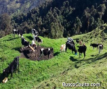Hacienda ganadera en venta, NONO, 482 Hectáreas, topografía irregular, luz, agua, río