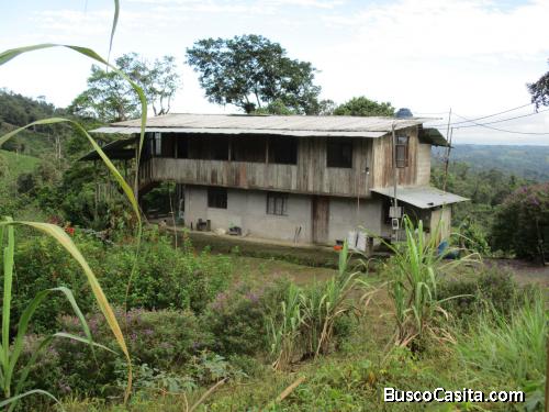 LOS BANCOS, Finca ganadera, agricola, de venta, 81 hectáreas semi planas, rio
