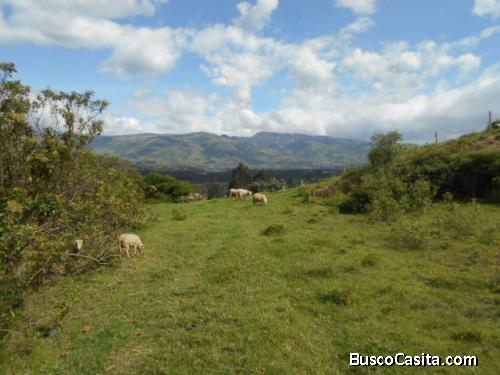 CHILLOS, LA MERCED, Terreno aterrazado de 7.423m2, luz y agua potable 