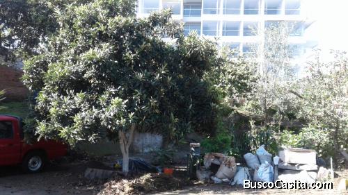 Vendo hermosa propiedad con árboles frutales al norte de Quito