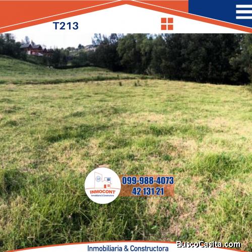 Hermosos terrenos en El Valle