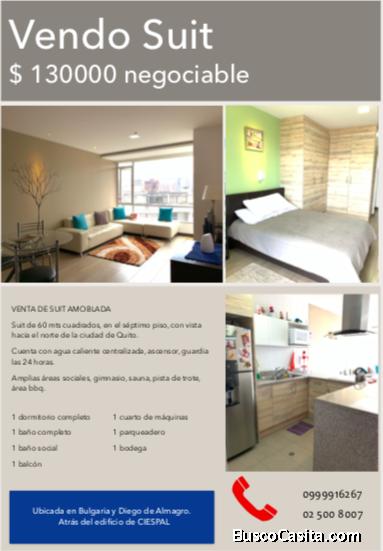 Suite amplia en sector Diego de Almagro