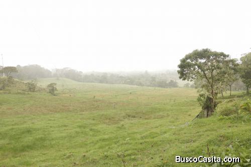 Hacienda 622 hectáreas en venta - Ranch 622 hectares for sale  