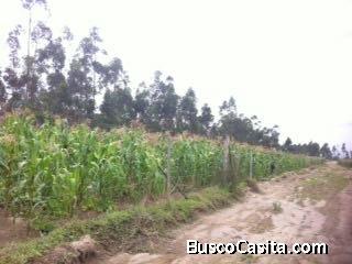 Vendo Terreno 6500 mts en San José de Cocotog