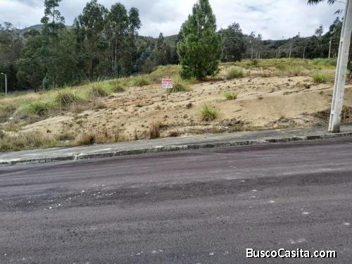 LOTE ECONÓMICO DE VENTA EN LA ARGELIA_AGEUL