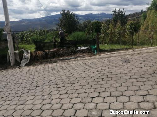 LOTE EN VENTA  CON  CULTIVOS  FRUTALES Y EXCELENTE VISTA PARA UNA CONVIVENCIA EN AMONÍA 