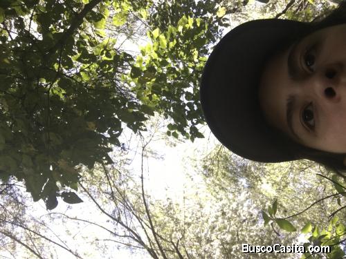 VivAQuí Urb.Norte  Salud,mesura y proyección. Vendo,cambio alquilo.