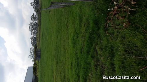 TERRENOS DE VENTA EN PIFO