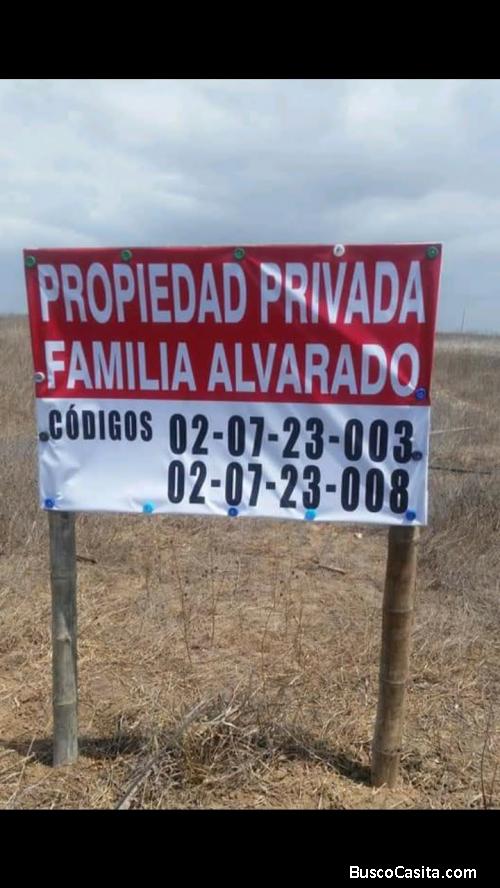 SE VENDE TERRENOS