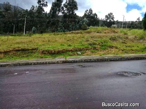 LOTE ECONÓMICO DE VENTA EN LA ARGELIA_AGEUL