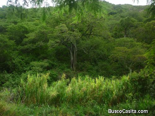 MUY BARATO, VENDO O CAMBIO TERRENO EN VILCABAMBA-ECUADOR. Cel. 096 155 3689