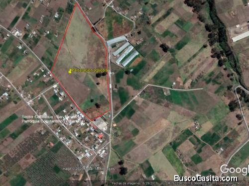 Lotes de oportunidad en parcelación Agrícola 