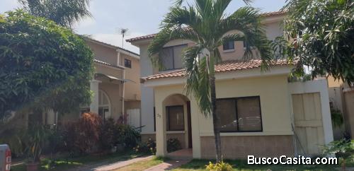 Ciudad Celeste,Serena Alquilo