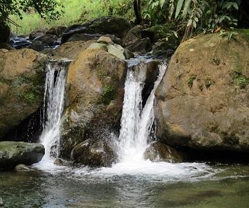 Finca Agrícola - Ganadera en venta, sector los Bancos, 81 hectáreas, rio, agua y luz 