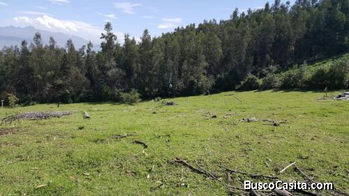 Hermoso terreno plano 