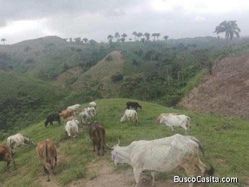 Terreno mas ganado