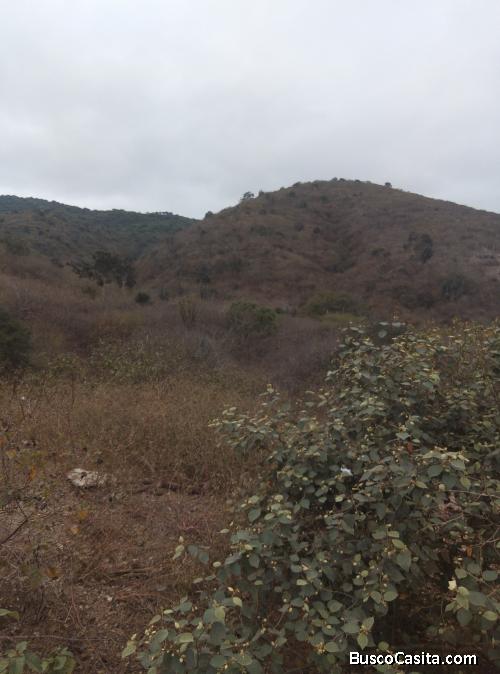 5 hectáreas con Bella Vista al mar 